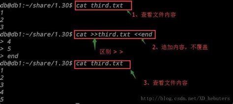 Linux命令之查看文件内容cat_cat命令查看文件-CSDN博客