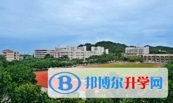 【清风聚焦 五廉共建】苍南县第三实验小学:清廉，向美而生_建设