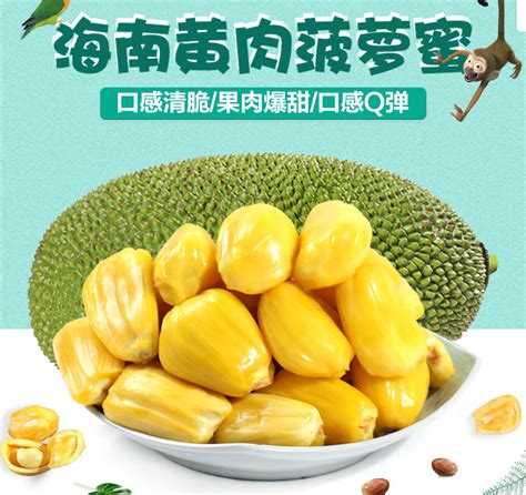 海南菠萝蜜新鲜水果黄肉老树木波罗蜜一整个28-32斤特大果热带特产水果生鲜