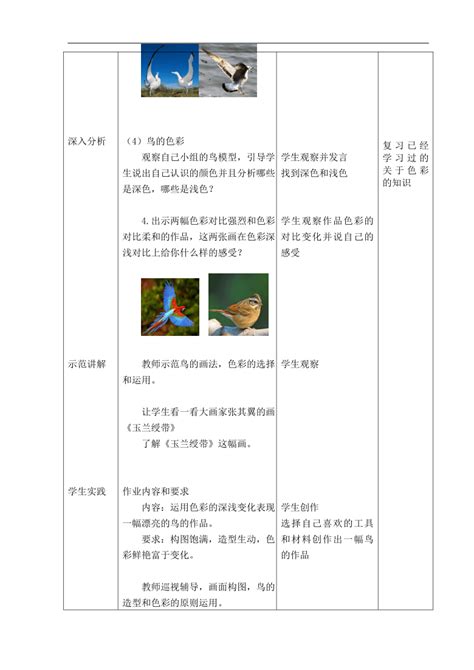 人美 版（北京）二年级美术下册 《4.花羽毛的鸟》教学设计_21世纪教育网-二一教育