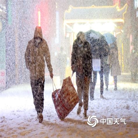 积雪压断树雨水扰交通 组图直击今年以来最大范围强雨雪现场-天气图集-中国天气网