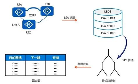 超详细OSPF的基本概念；OSPF多区域配置和综合实验 - 尚码园