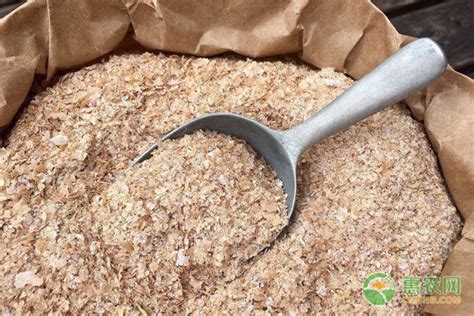 米糠与稻糠区别,香糠和米糠有什么区别,稻壳和米糠的区别_大山谷图库