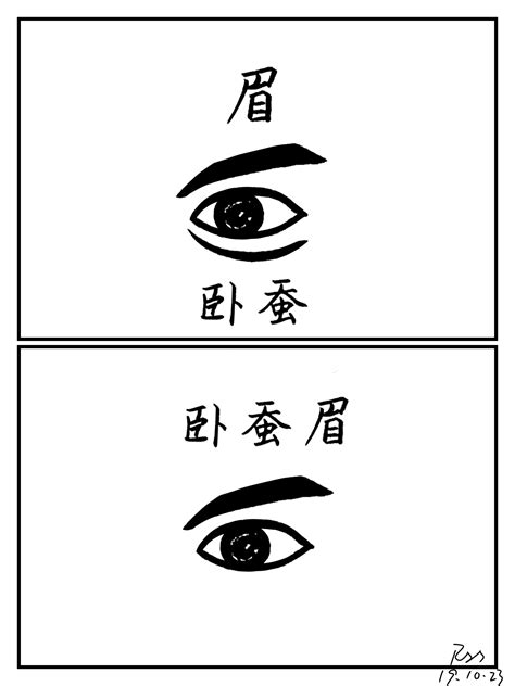 卧蚕眉图片