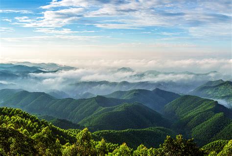 广西国有高峰林场-会员风采-广西林业产业行业协会