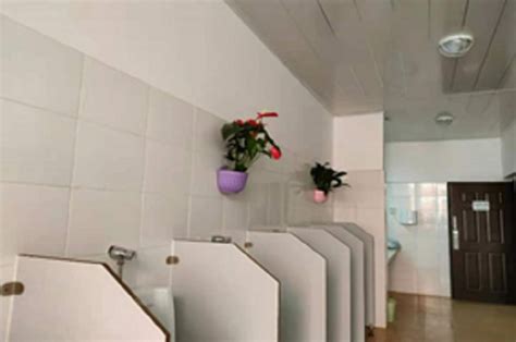 望城69所农村学校厕所全部完成提质改造，学生“方便”更方便卫生_教育_长沙站_红网