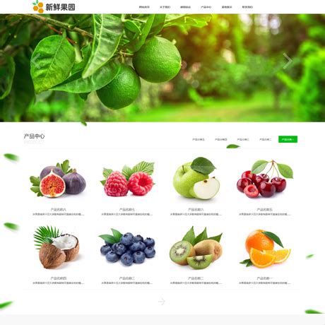 果园网站模板_素材中国sccnn.com