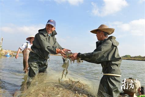 湛江南部海岸渔业有限公司