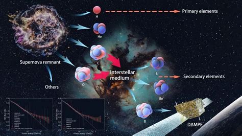 暗物质卫星“悟空”号发现宇宙线硼/碳、硼/氧比能谱新结构