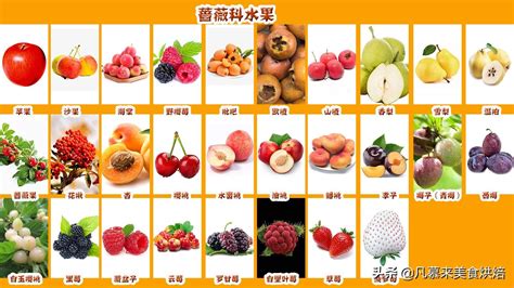 有创意水果店名称 卖水果起什么店名比较好_起名_若朴堂文化