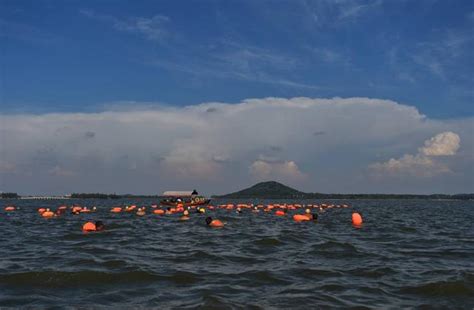 武汉东西湖湿地|摄影|风光摄影|哎呀小喔的女主人 - 原创作品 - 站酷 (ZCOOL)