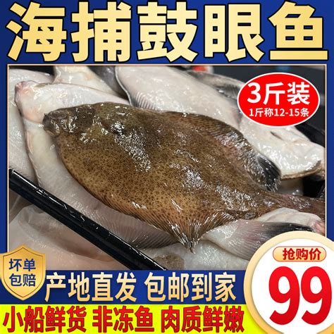 359.利牙鱼1水属性~冰冻牙原型:图片