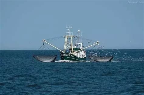涨知识 | 各类渔船（拖网、刺网船等）是怎么捕鱼的？