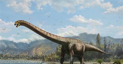 巨齿龙：法国大型食肉恐龙（长8.5米/距今1.66亿年前）_小狼观天下