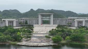 2023广西崇左市龙州县人民政府办公室招聘编外人员1人（11月24日至29日报名）