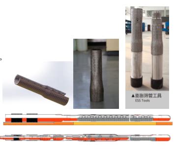 +caisen 的图像结果