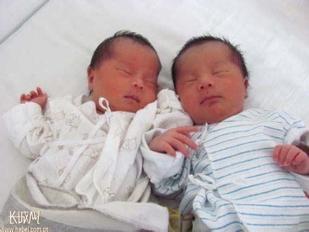 重庆籍女士在秦市产龙凤胎 俩孩子体重高达13斤_中国双胞_双胞之家