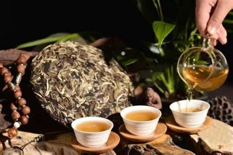 熟普洱茶功效与作用及禁忌 | 普洱茶
