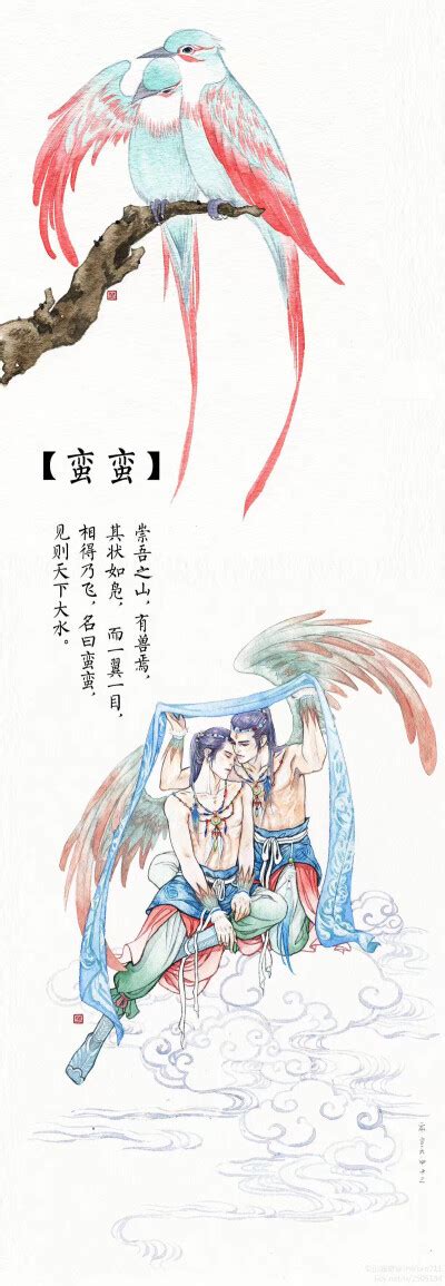 比翼鸟又名鹣鹣、鹣鲽、蛮蛮此鸟仅一目图片