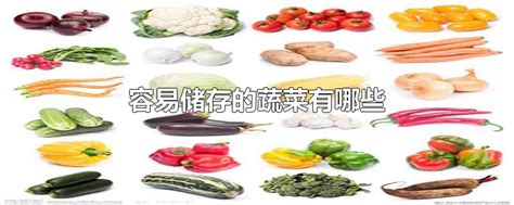 如何正确保存蔬菜 不同种类蔬菜如何保存 _八宝网
