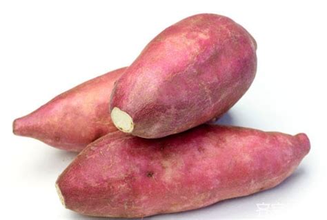 红蜜薯的营养价值与功效作用 - 标药网