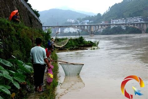 沂河抗住了7年来最大洪水 临沂主要河流水位回落_手机新浪网