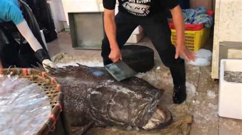 巨型大黑鱼，看大厨是如何处理的，最厉害的还是刀工_腾讯视频