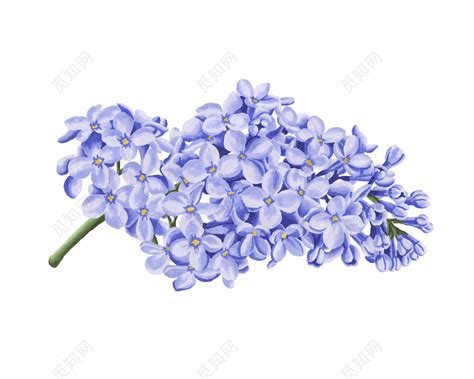蓝色简约花朵图片下载素材免费下载 - 觅知网
