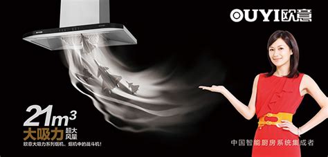 油烟机海报设计图__广告设计_广告设计_设计图库_昵图网nipic.com