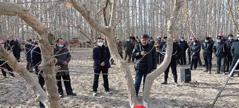 和田地区科协同地区林业和草原推广中心联合在策勒县开展林果业提质增效现场培训会-新疆维吾尔自治区科学技术协会