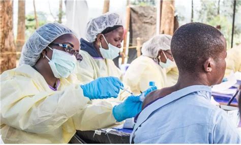 治疗埃博拉病毒感染药物研究新动态-观察-生物探索