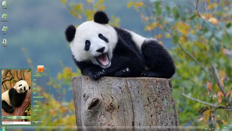 熊猫搜书免费阅读版下载-熊猫搜书免费阅读版软件下载-安卓巴士