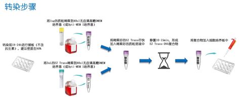 王建辉、刘仕课题组提出局域高浓度电解液普适性设计原则