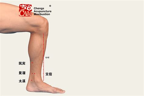 图145 桡动脉和尺动脉及其分支(右侧)-人体解剖-医学