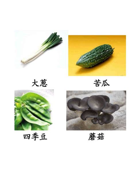 蔬菜图片大全(附名称)_word文档在线阅读与下载_文档网