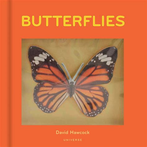 Butterflies: Pop-Up，蝴蝶立体书 - 善本图书SPBOOKS