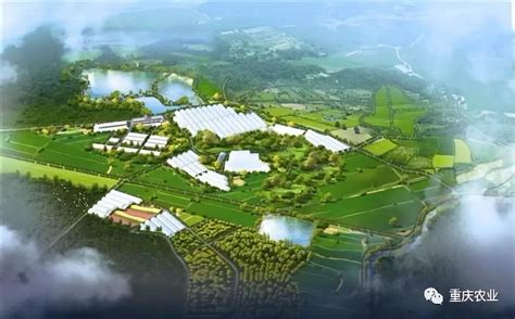 重庆市进一步调整优化农业产业结构，促进农业由增产向提质转变_特色化