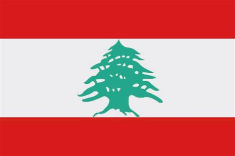 黎巴嫩属于哪个国家（阿拉伯国家黎巴嫩概况） | 说明书网