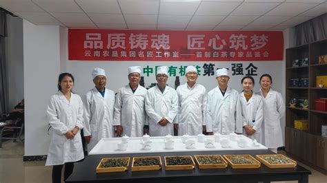 云南普洱国资有机茶业有限公司-官方网站
