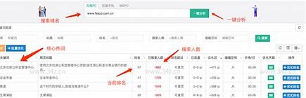 兰西县网站seo优化排名 的图像结果