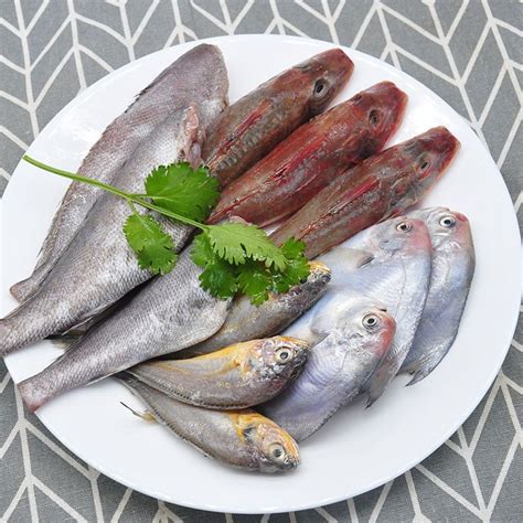 水产市场常见的海鱼,30种最常吃的海鱼,市场上常见的海鱼(第2页)_大山谷图库