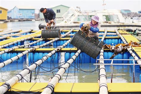 合浦县打造万亩水产养殖基地-中国水产科学研究院渔业机械仪器研究所网站