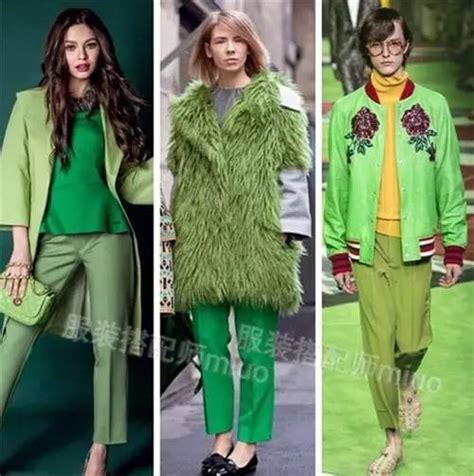 熊黛林绿色衣服图片