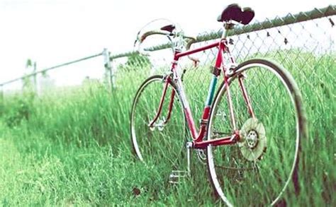 [精华]第一次骑自行车作文15篇
