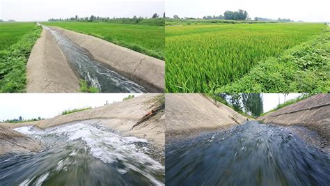 高温抗旱保供电 灌溉农田“及时雨”