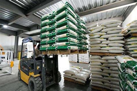 加工1吨大米利润是多少,加工大米设备多少钱 - 达达搜