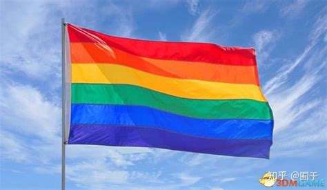 LGBT +人口普查数据首次公布的“历史性一步” - 知乎