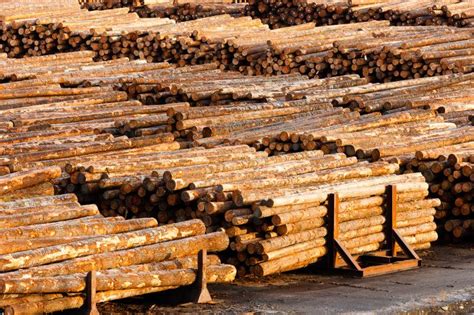 福建新店镇开展木材加工厂安全生产检查-木业网