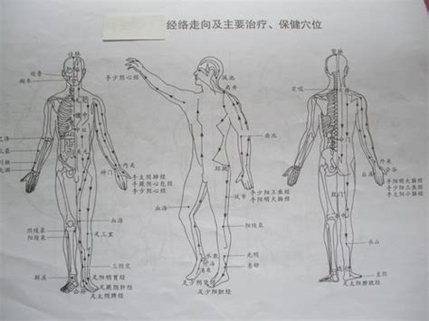 《312经络锻炼法治病实例》扫描版[PDF]_看医学网