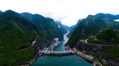 彭水水电公司：描巴渝生态底色 绘绿色发展画卷 - 南京博纳威电子科技有限公司